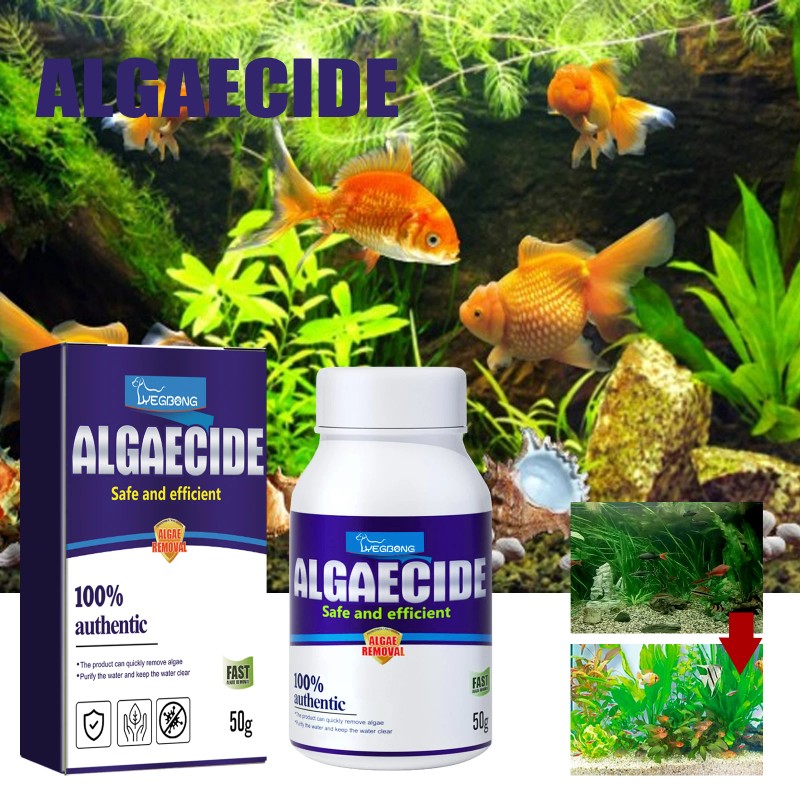 Yegbong Algae Remover Moss Remover Aquarium Algae Remover Moss Remover