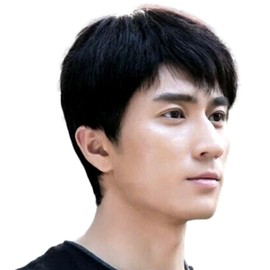 Donally Natural Wig, Men's, Light Texture and Natural Gloss, Heat Resistant, Full Wig, With Pins, Fashion, Makeover, Adjuster Included, Men's Wig (Black)