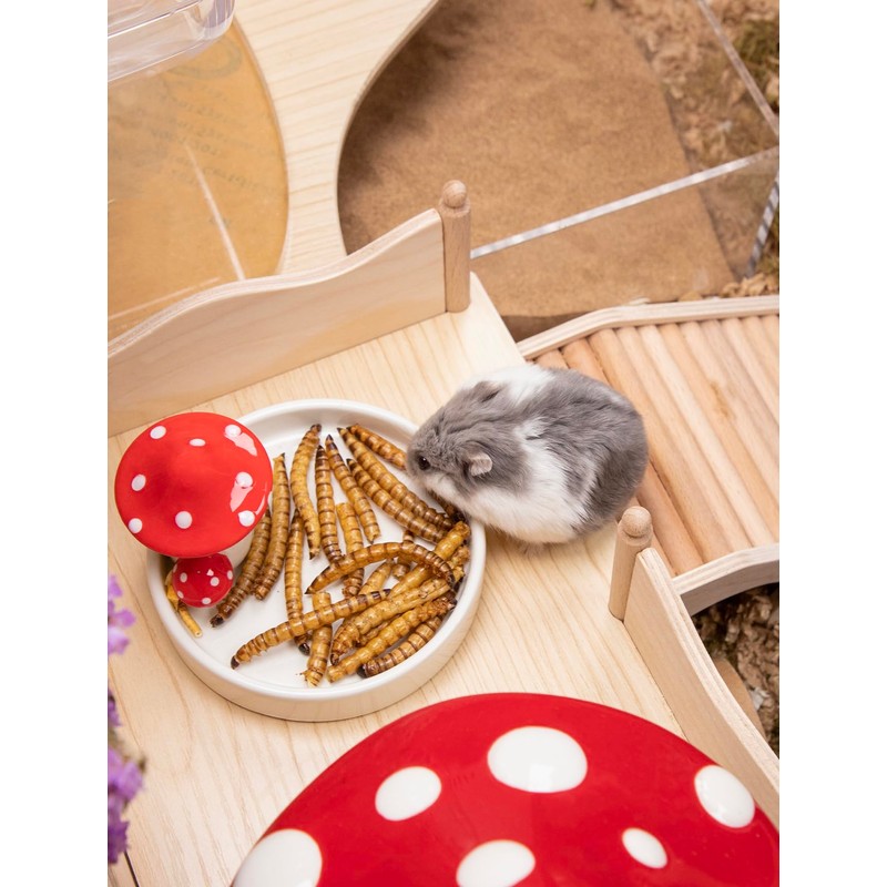 Niteangel Hamster Snack & Treats Toy - Small Animal Natural