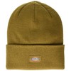 Dickies Men's Cuffed Beanie Brown