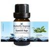 Spanish Sage Essential Oil 10ml - 100% Pure by Butterfly