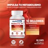 Probiotic Fit 30 Capsulas Avanzada Frmula de Probiticos y Prebiticos