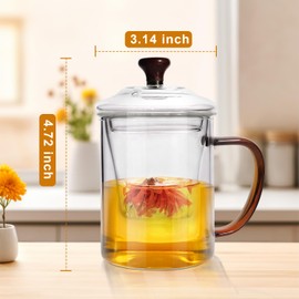 Glass Tea Cup with Infuser and Lid, 18.6oz/550ml Loose Leaf Tea Infuser Mug with Filter, Microwave Safe Glass Teacups (c8)