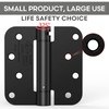 Treasem 2 Pack Self Closing Door Hinges, 4 Inch Spring