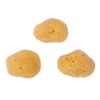 Repino Watercolour Sponge Natural Sponge Artist Watercolour Sponge Set –