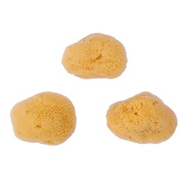 Repino Watercolour Sponge Natural Sponge Artist Watercolour Sponge Set – Fine-Pored – Pack of 3