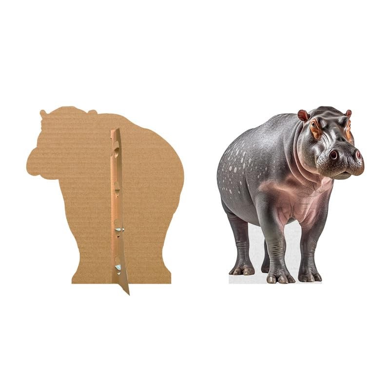 Hippo - Life Size Cardboard Cutout Standup People with Support