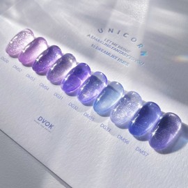 Divock Divok Unicorn 10 Piece Set Magnetic Gel Glitter Gel / 디보크 유니콘 10종 세트 자석젤 글리터젤