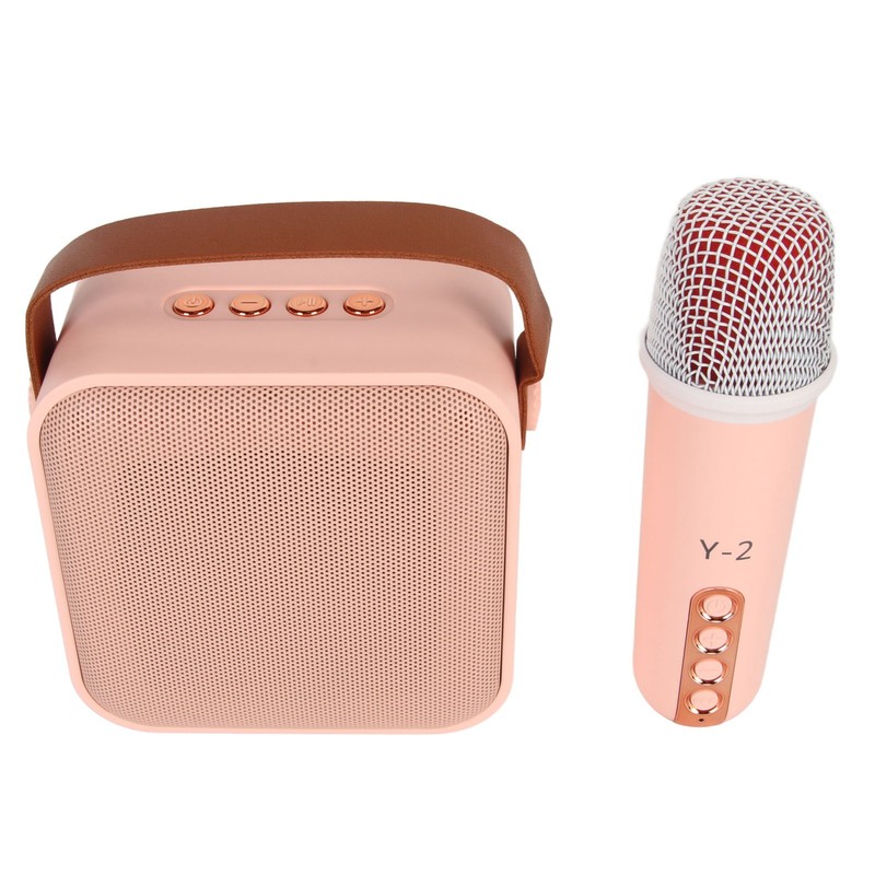 Mini Karaoke Machine Set Portable Bluetooth Speaker with 1 Wireless