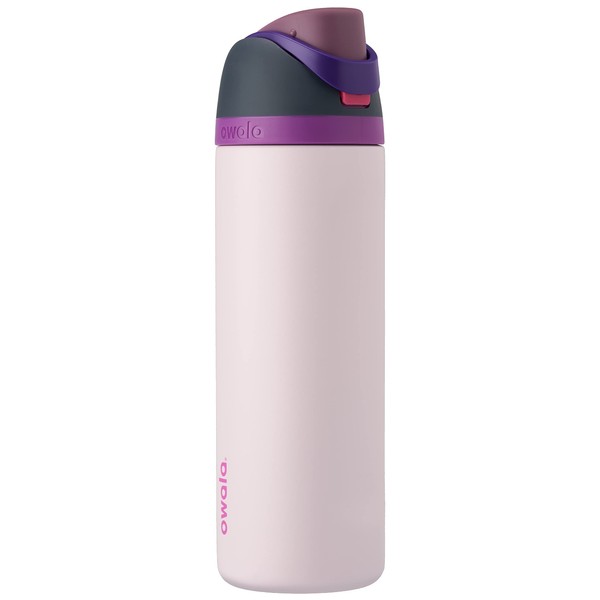 Owala Owala FreeSip Insulated Stainless Steel Water Bottle with Straw