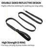PWOD Double-Sided Reflective Nylon Dog Leash, 4 FT/5 FT/6 FT,