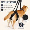 Adjustable Dog Rear Leg Lift Harness – Padded Hind Leg