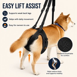 Adjustable Dog Rear Leg Lift Harness – Padded Hind Leg Support Sling for Senior, Weak & Recovering Dogs, Adjustable Mobility Assistance Strap, S–L