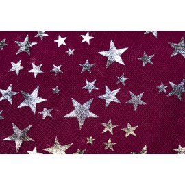 styleBREAKER 01016118 Women's Loop Scarf with Glittering Metallic Stars All Over Print Pattern, Lightweight Tube Scarf, Plain, bordeaux red