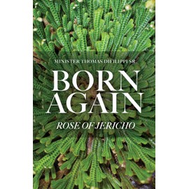 Born Again: Rose of Jericho
