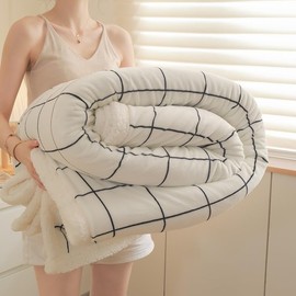 PAJEO Sherpa Fleece Throw Blanket for Couch - Thick and Warm Bed Blanket Dual Sided,Soft Fuzzy Plush Throw Blanket,Queen Size 80x90 Inches