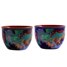 HOHCNA Royal Style Enamel Tea Cups Set of 2, Hand Painted Dragon Pattern Ceramic Tea Cup, 4 OZ Chinese Gongfu Tea Ceremony Cup (Blue, Black)