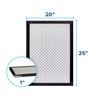 Filtrete High Performance Air Filter 2500 MPR EAX03-4, 20 in