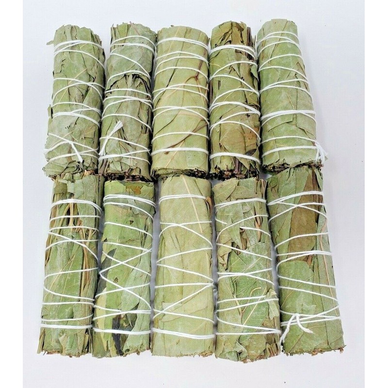 5 Eucalyptus Sage Smudge Bundle 4"+ House Cleansing Negativity Removal