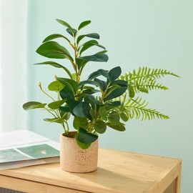 Ainuowei 12.8'' Aritificial Plants Potted Faux Plants in Rustic Cement Planter Ficus Eucalyptus Boston Fern Mixed Fake Plants Greenery for Bathroom Bedroom Living Room Decoration