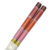 Aoba Chopsticks, Handicraft, Dishwasher, Misora Dragonfly, 9.1 inches (23 cm),