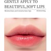 8PCS Mini Bálsamo de Labios y Máscara de Labios,Hidratante para