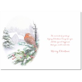 doodlecards Brother and Sister in Law Christmas Card Robin by Lamp Medium Size Christmas Card for Brother & Sister-in-Law with Plain Envelope