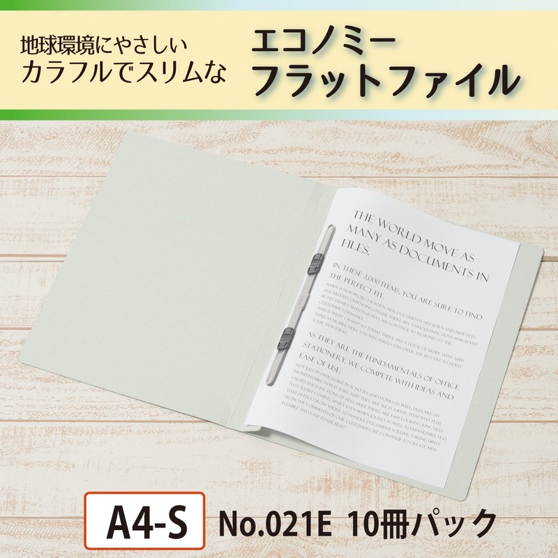 Plus Economy Flat File, A4 Vertical