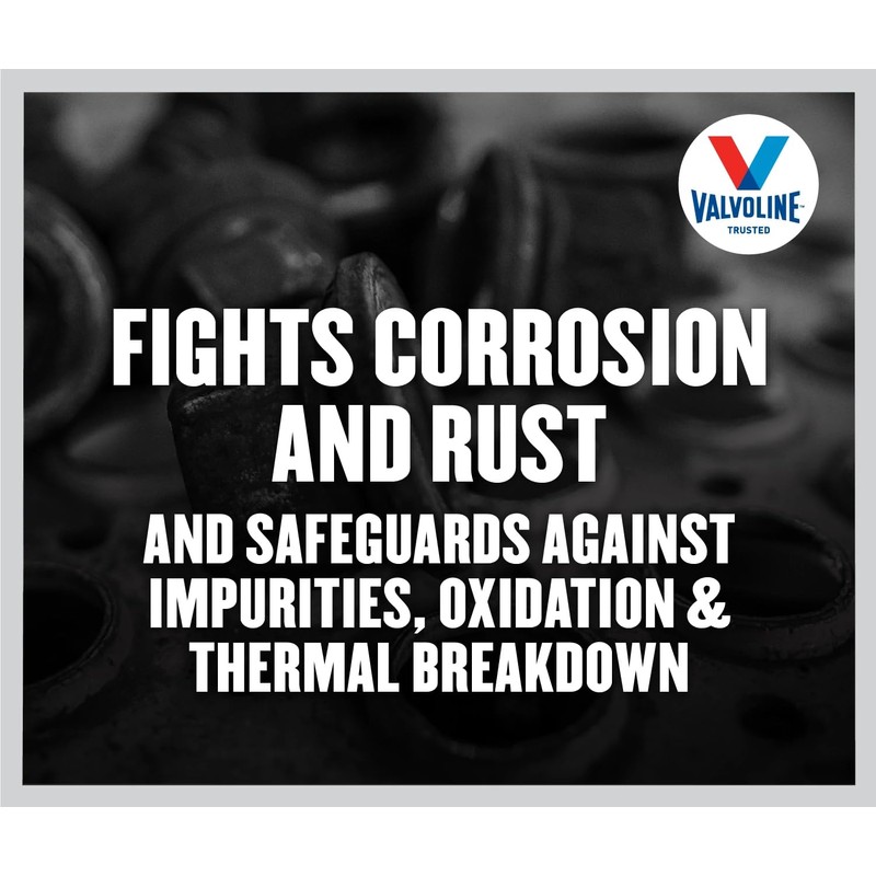 Valvoline Daily Protection 80W-90 Gear Oil 1 Quart