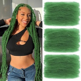 Afro Kinky Curly Synthetic Hair Bulk 3 Packs Marley Twist Hair Bulk for Dreadlock Extensions Spring Afro Twist Hair Bulk for Mini Twist Repair Locs (Dark Green#, 16 Inches)