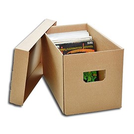 Protected Single Record Cardboard Box