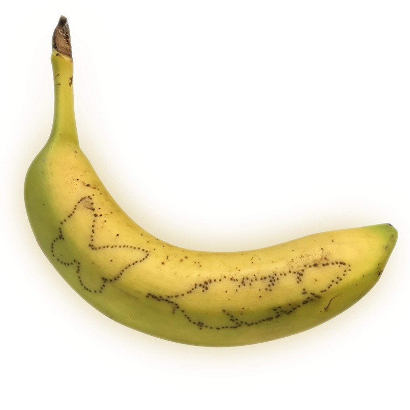 Science4you -Science4you Starter Tattoo Set - Scientific and Educational Toy,