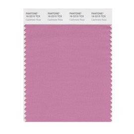 PANTONE Smart 16-2215X Color Swatch Card, Cashmere Rose