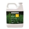 Endurant Turf Colorants - Premium Spray On Green Grass Paint