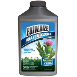 Pulverize 100534811 Messina Weed & Grass Killer, White