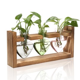 MTsigns Plant Terrarium Propagation Stations Hydroponics Home Garden Decoration Gift for Women with Wooden Stand Heart Shaped Colored Glass Vase