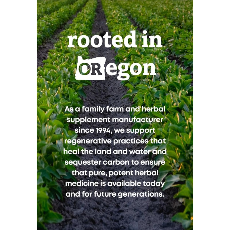 Oregon's Wild Harvest Aller-Aid with Quercetin Supplement, 90 Count