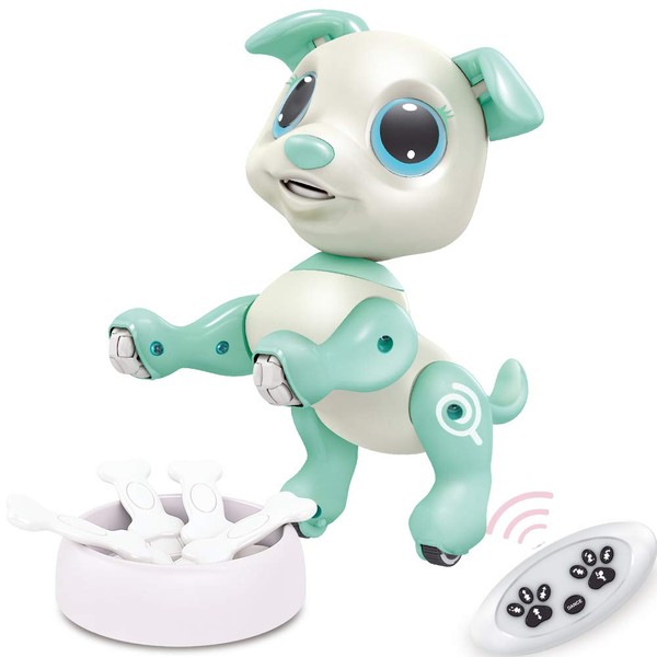BIRANCO. Interactive RC Dog Toy - Cute Gesture Sensing Puppy for Toddlers, STEM Play, Ideal Holiday/Birthday Gift for 3-8 Year Olds