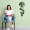 ACRNIGHEET DIY Macrame Kit for Adults Beginners Handmade Green Leaves