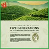 Wissotzky Nana Mint & Lemon Fusion Herbal Tea (6 Pack