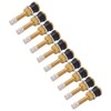 10 Pcs Valve Stems TR500 Straight Brass Heavy Duty Clamp