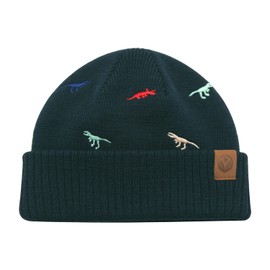 JANGANNSA Knitted Beanie Children's Winter Baby Hat Dinosaur Newborn Winter Hat for Boys Girls 0-8 Years, marine dinosaur