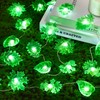 enlaceray Twinkling Leaf Oasis Vine Lights 14ft Solar String Lights