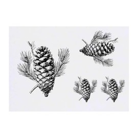 Azeeda 4 x 'Einzelner Tannenzapfen' Temporäre Tattoos - Wasserfest, Hautfreundlich & Ungiftig · Transfers in Verschiedenen Größen (TO00076784)