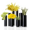 CYS Excel Black Glass Cylinder Vase (H:12" D:6") | Multiple