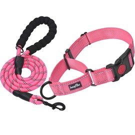 haapaw 2 Packs Martingale Dog Collar with Quick Release Buckle Reflective Dog Training Collars for Small Medium Large Dogs
