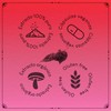 Schisandra 30 Cápsulas de 750 mg. | Adaptógeno | Equilibra