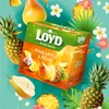 LOYD Tea - Pineapple & Pear​ (6 Pack​)
