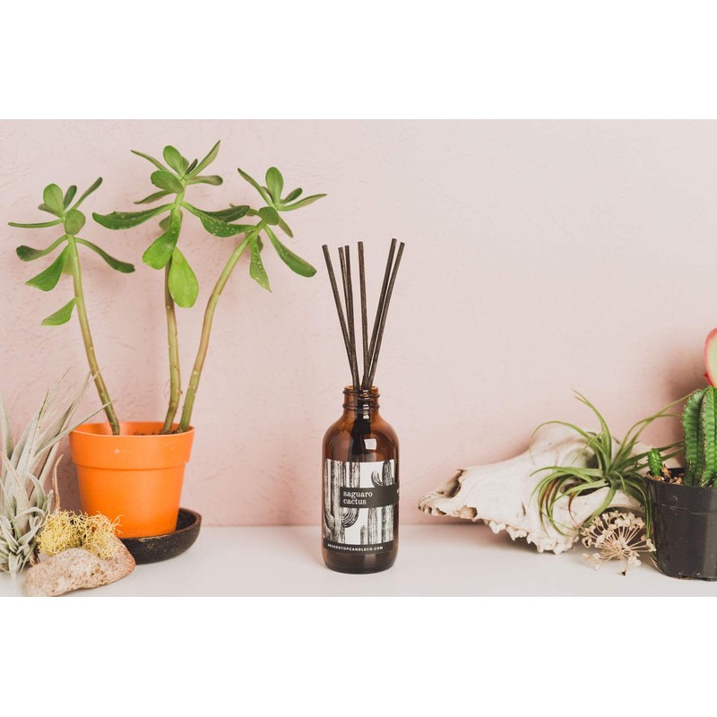 BROKEN TOP Natural Reed Diffuser Set (Saguaro Cactus)