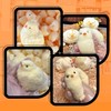 Taba Squishy Chick Toy, Ultra Soft Taba Chicken Squishy Squeeze